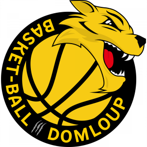 DOMLOUP SPORTS