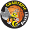 AS Chantepie Basket